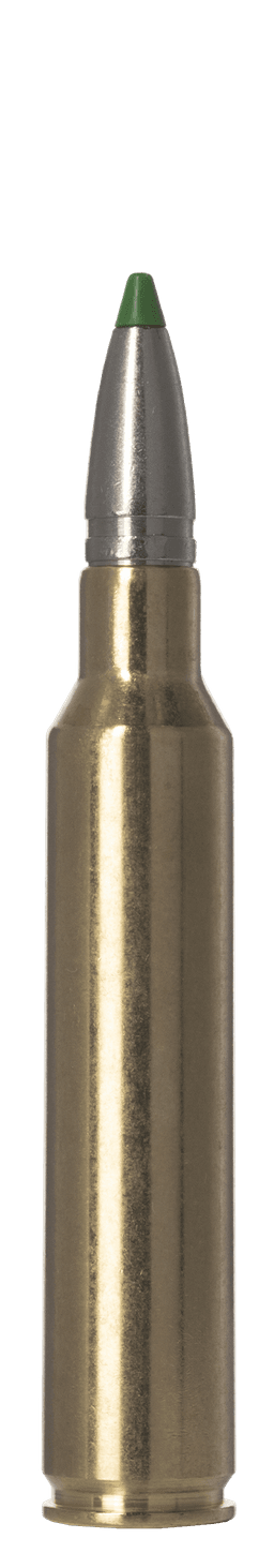 Norma Ecostrike
