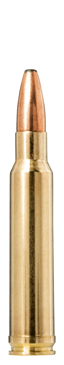 Norma Oryx