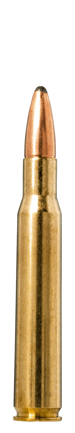 Norma Oryx