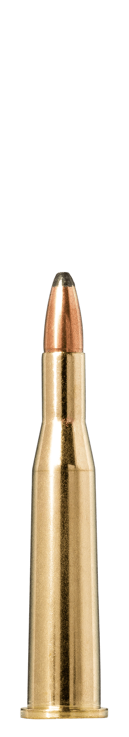 Norma Whitetail