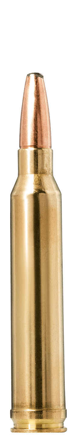 Norma Oryx