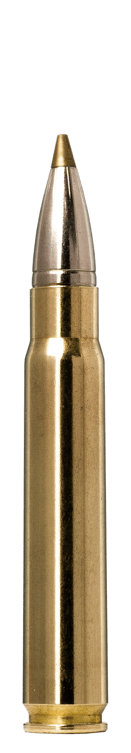 Norma Evostrike
