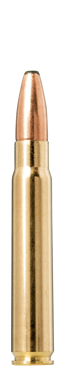 Norma Oryx