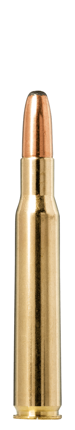 Norma Whitetail