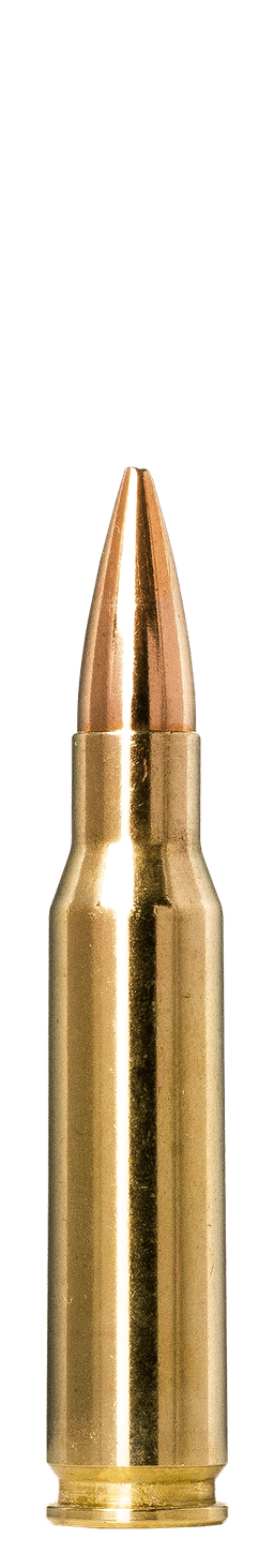 Norma Golden Target