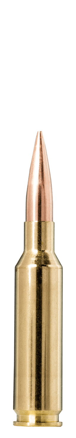 Norma Golden Target