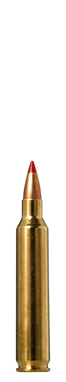 Norma Hornady V-MAX