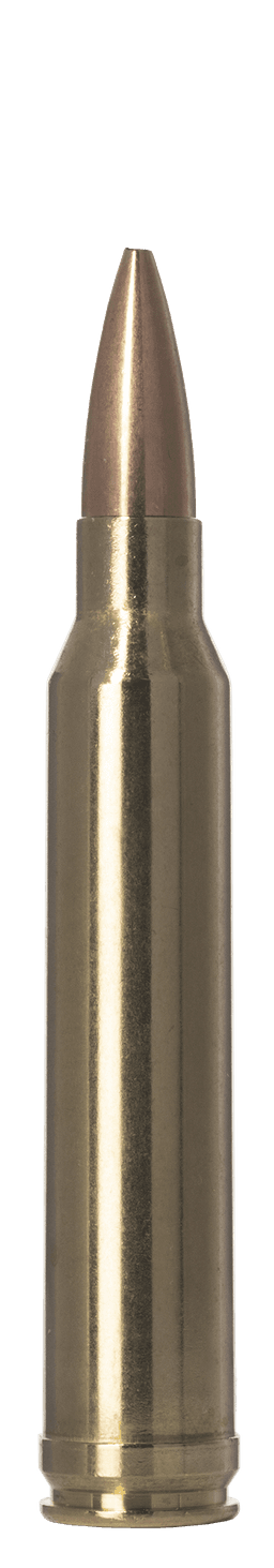 Norma Golden Target