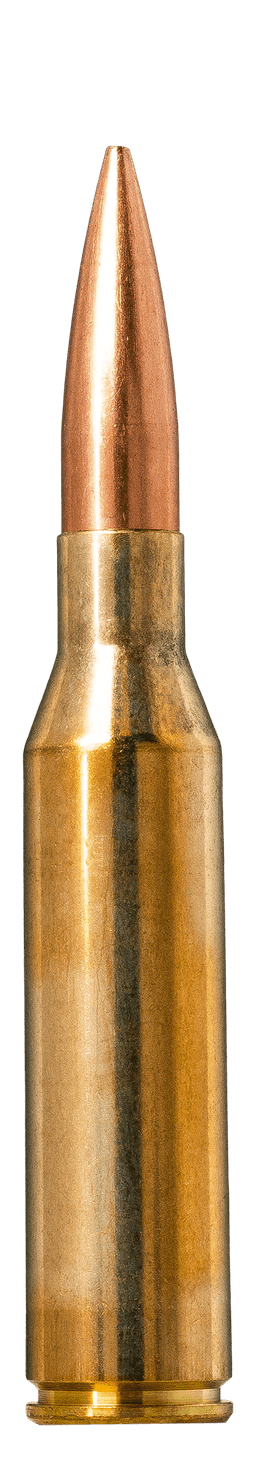 Norma Golden Target