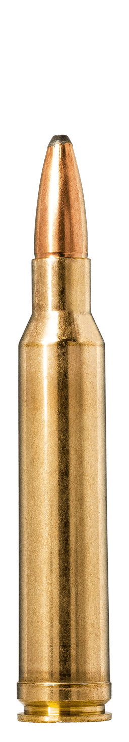 Norma Oryx