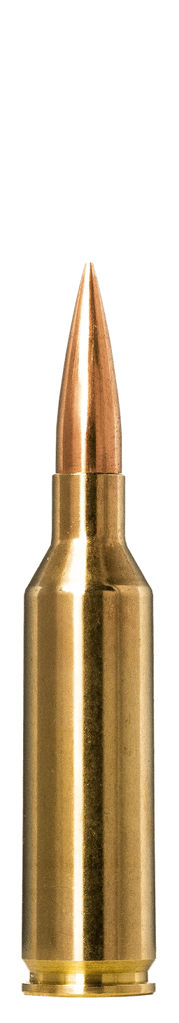 Norma Golden Target