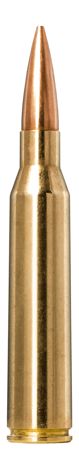 Norma Golden Target