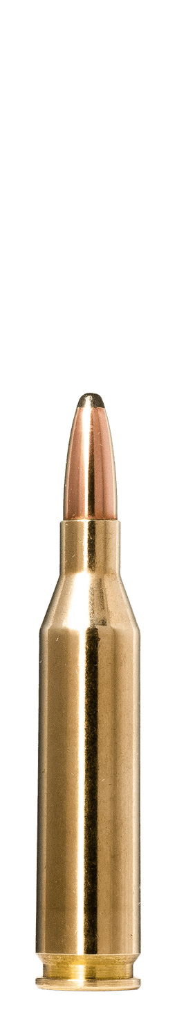 Norma Whitetail