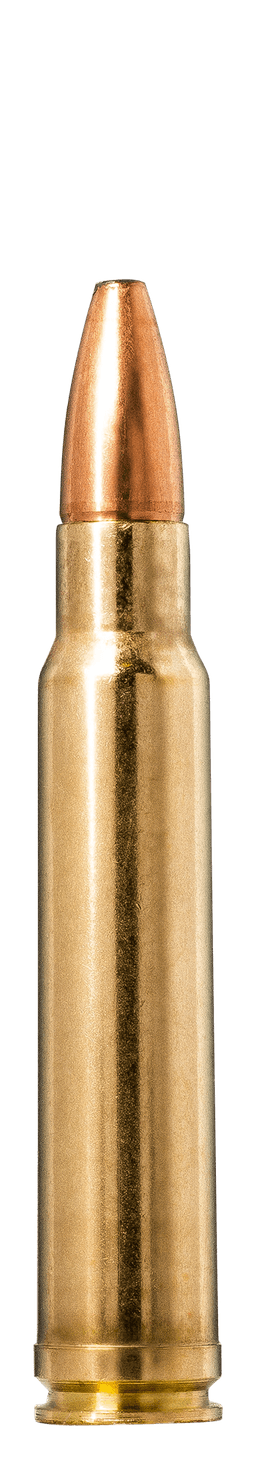 Norma Oryx