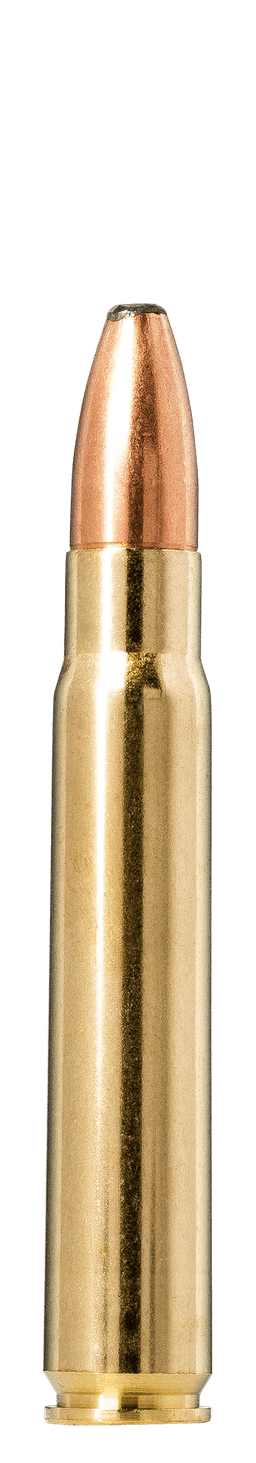 Norma Oryx