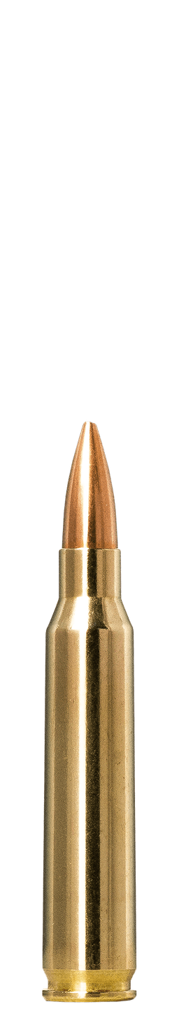 Norma Golden Target