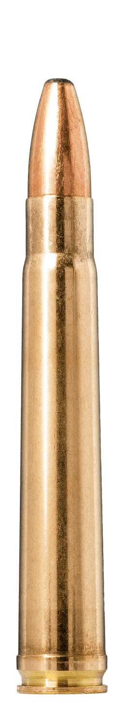 Norma Oryx
