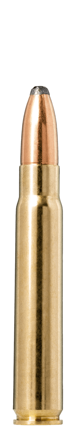 Norma Whitetail