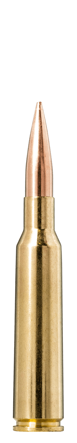 Norma Golden Target