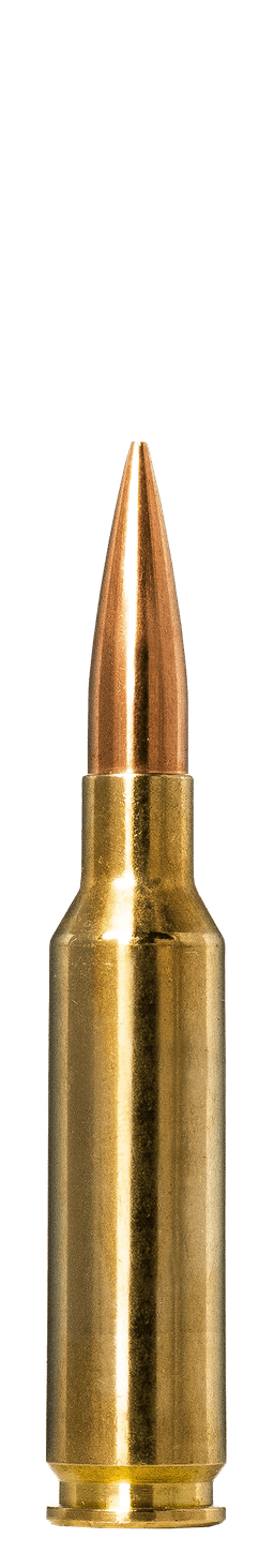 Norma Golden Target