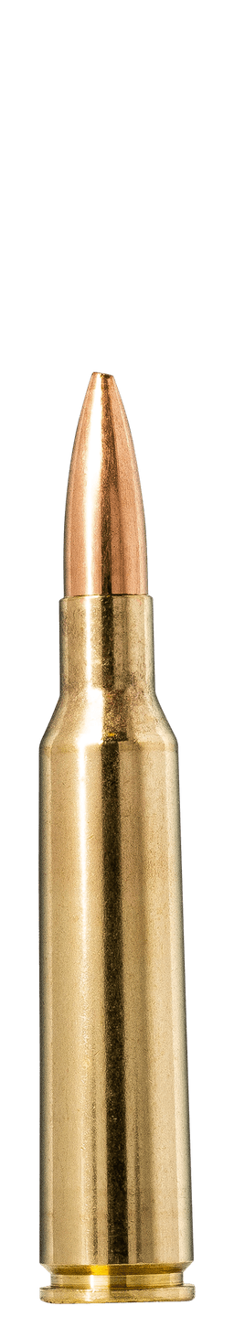 Norma Golden Target