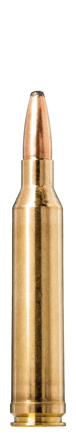 Norma Oryx