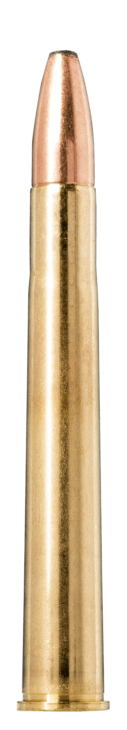 Norma Oryx