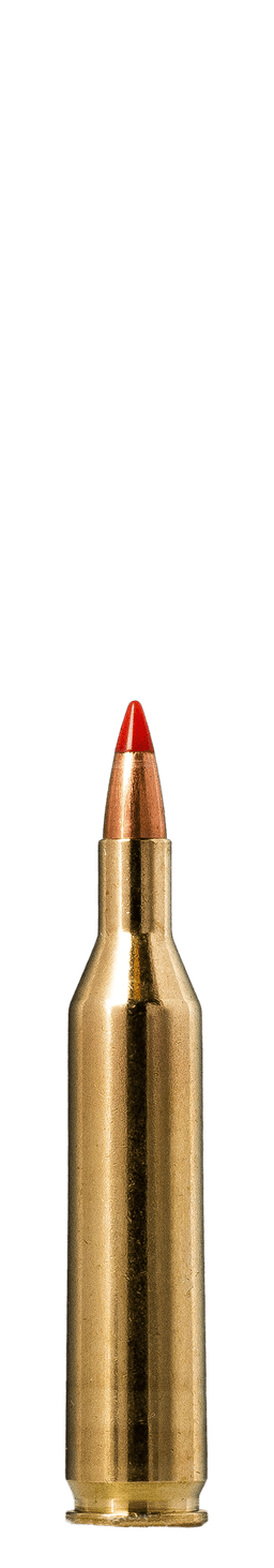 Norma Hornady V-MAX
