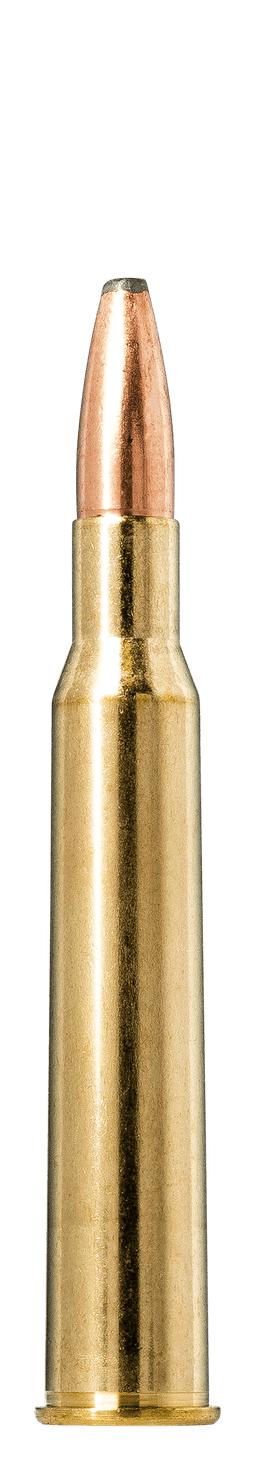 Norma Oryx