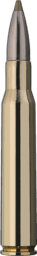 RWS Evolution Green