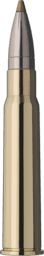 RWS Evolution Green