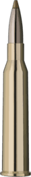 RWS Evolution Green