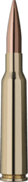RWS Target Elite Plus