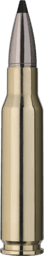RWS Speed Tip Professional