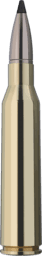 RWS Speed Tip Professional
