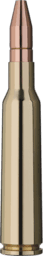 RWS Doppelkern DK