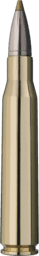 RWS Evolution Green