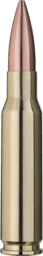RWS Target Elite Plus