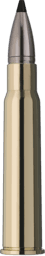 RWS Speed Tip Professional