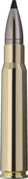 RWS Speed Tip Professional