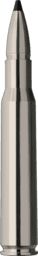 RWS Short Rifle