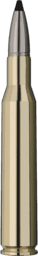 RWS Speed Tip Professional