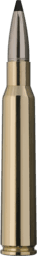 RWS Speed Tip Professional