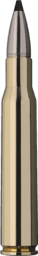 RWS Speed Tip Professional