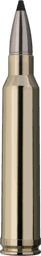 RWS Speed Tip Professional