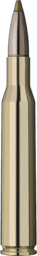 RWS Evolution Green