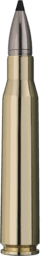 RWS Speed Tip Professional