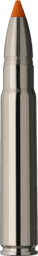 RWS Short Rifle