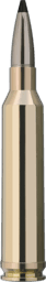 RWS Speed Tip Professional