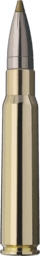 RWS Evolution Green